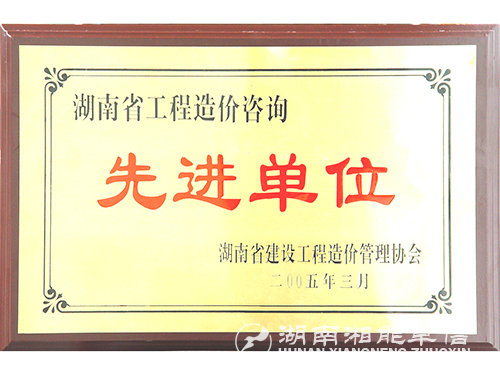 04年湖南省工程造價(jià)咨詢(xún)先進(jìn)單位 04年湖南省工程造價(jià)咨詢(xún)先進(jìn)單位
